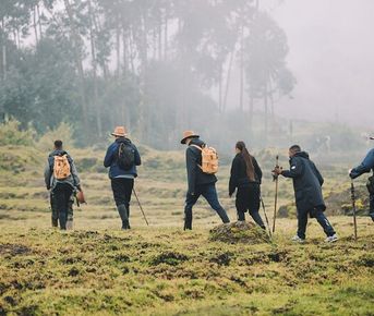 8 Days Kigali, Akagera And Volcanoes National Park Circuit