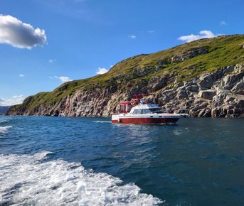 Китовые приключения