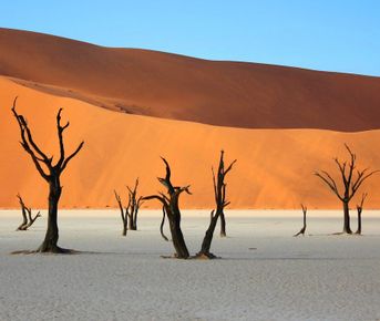 Намибия + Замбия + Зимбабве + Ботсвана