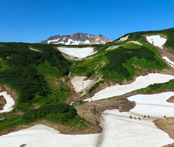 Малая Долина гейзеров (Дачные источники)  остров зелени у подножия активного вулкана