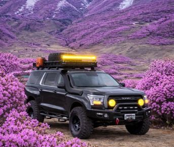 Магия Весеннего Алтая: Цветение Маральника