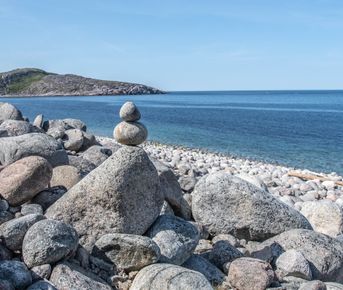 Арктическое лето