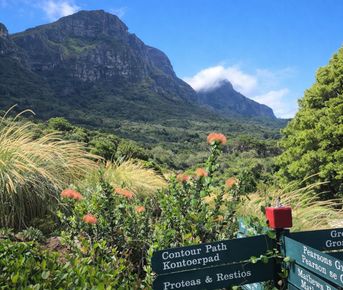Контрасты Кейптауна: Ланга, великое вино и сады у Столовой горы