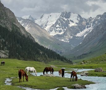 Кыргызстан за 4 дня - программа максимум!