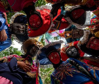 Пантанал. Экспедиция с Алексом Мзунгу от Серрадо до Пантанала