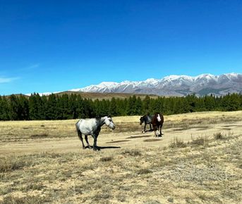 Алтайский край. Наследие Шукшина.