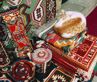 Восемь чудес Азербайджана: маршрут алычи и шафрана