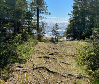 Экскурсия из Репино Карельский перешеек  в царство сосен, озёр и камней