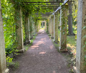 Экскурсия в Ораниенбаум с Меншиковским дворцом и Китайским дворцом