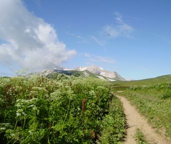 Золотое кольцо Плато Лаго Наки (7 дней)