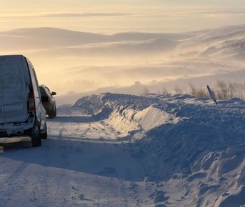 Териберка и киты за 1 день