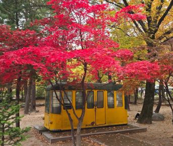 Южная Корея от Сеула до Чеджу. Семь чудес осени