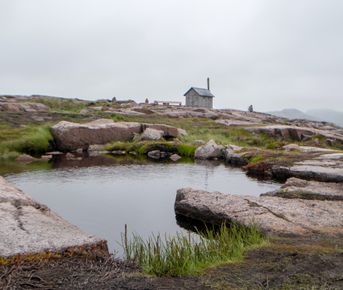 Кольский Меридиан с ночёвкой в Териберке + Кировск + Мурманск