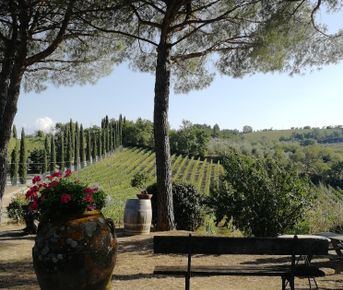 Вино Кьянти: погружение в сердце Тосканы