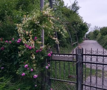 Коммуна русских идеалистов и мистика Абхазии!