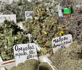 Большое путешествие - тур на 7 дней