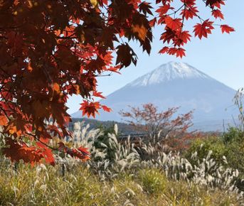 Фудзияма. Восхождение