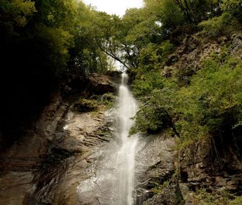 Тур в грузию 5 дней из махачкалы