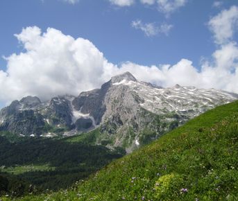 Всесоюзная тридцатка (7 дней)