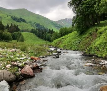 Май в Абхазии-3 дня