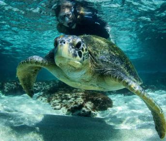5 дней открытия дикой природы Галапагосских островов (2 необитаемых острова)