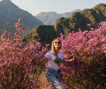 Цветение маральника на Алтае. Комфорт-Тур/ 4 дня