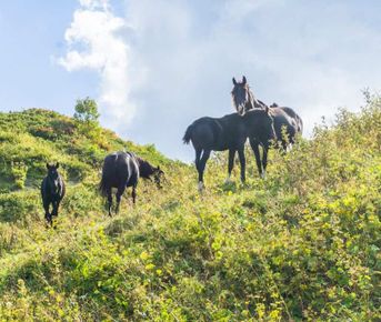 Через горы к морю по 30 маршруту