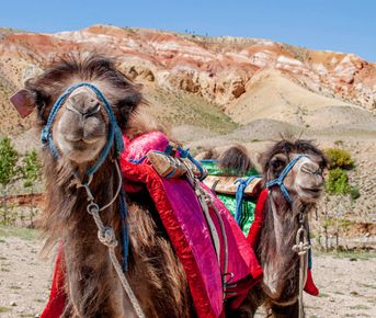Чуйский тракт + Гейзерово озеро + Марс