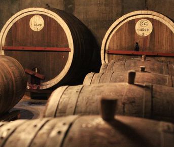 Индивидуальный тур: Канатная дорога, монастырь Татев — жемчужина армянской архитектуры