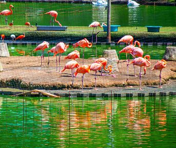 Сказка Батуми: 4 парка за один день