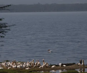 4 Day Safari Through Kenya’s Heart