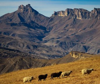 Таинственная Кабардино-Балкария за один день. Индивидуальная поездка из Пятигорска