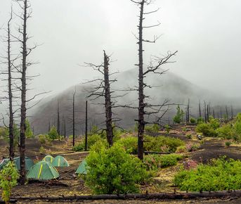 Толбачик. По следам извержения.