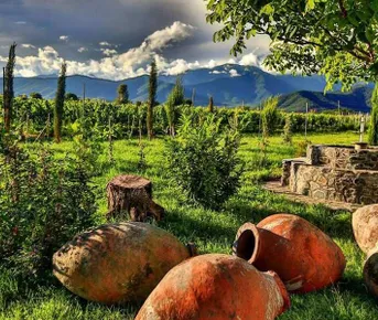 Большой тур по Кахетии : от Сигнахи до Телави  Индивидуальный тур