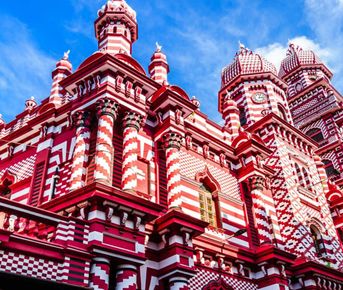 Шри-Ланка за 7 дней с сафари: от Коломбо до Яла (индивидуально)