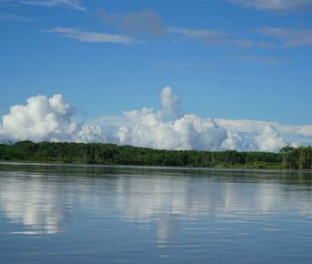 Amazon Adventure in Yasun 7 Days