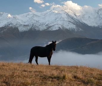 Джип-Тур Фантастическая и таинственная Северная Осетия
