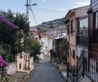 Самый зеленый из Принцевых островов — круглый год