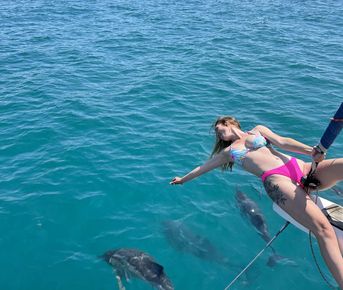 Морской тур с дельфинами