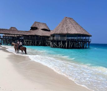 Занзибар: Приключения в Раю