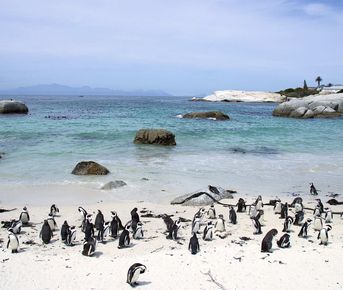 Юар, водопад Виктория и сафари в Ботсване