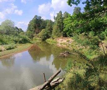 Сплав по реке Киржач (Владимирская обл.) на байдарках, 2 дня