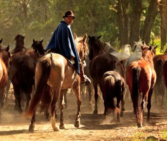 Скрытые сокровища Имбабуры