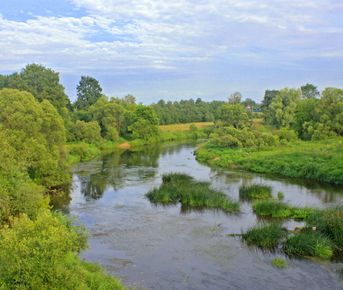 Сплав на байдарках по реке Дубна (Подмосковье) 2 дня