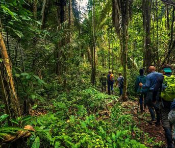 9 дней от руин инков до тропического леса