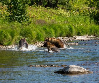 Сплав по реке Быстрая 