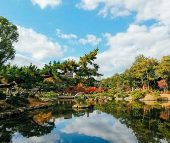 Лучшее в Японии за 9 дней