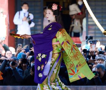 К весне и океану: Япония на раннюю сакуру 2026