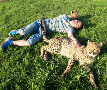 Юар: Серфинг, Гепарды, Пингвины, Зебры и много всего!