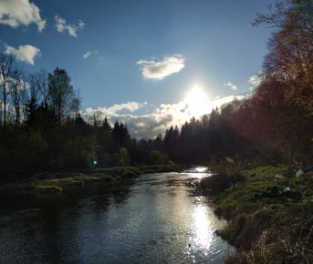 Сплав на SUP бордах по реке Нерская (1 день)